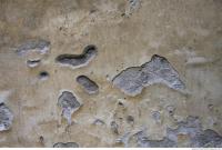 Photo Texture of Wall Plaster 0038